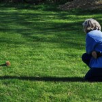 We rescued (another) hedghog and nursed it back to health